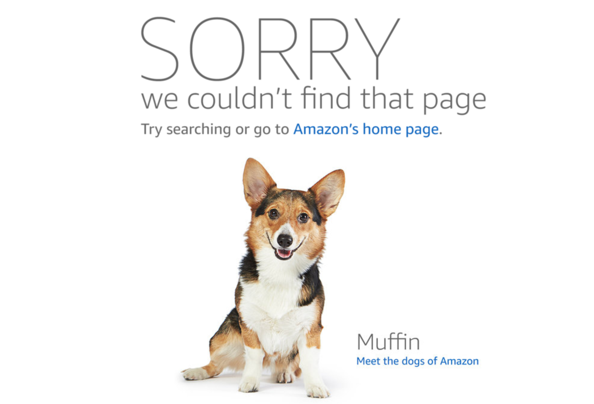 404 ошибка на amazon