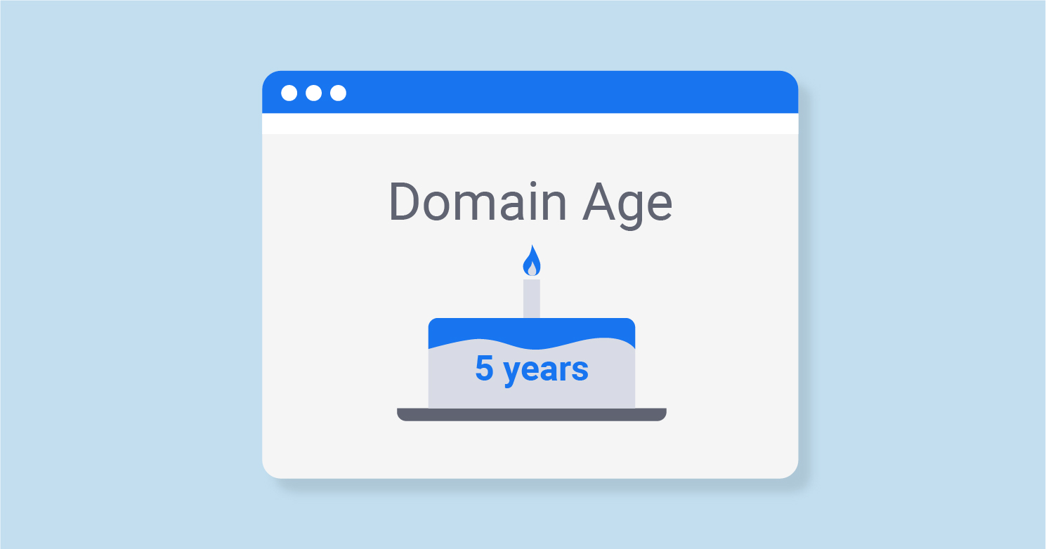 Explore What Domain Age Is and Why It Is Important for SEO