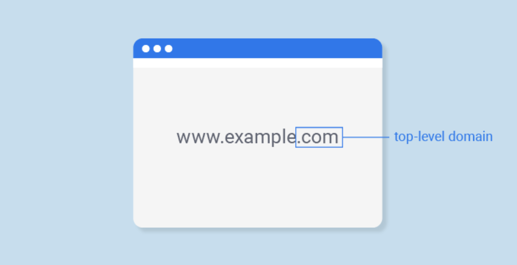 Netim.com Review: Pros & Cons You Should Consider for SEO